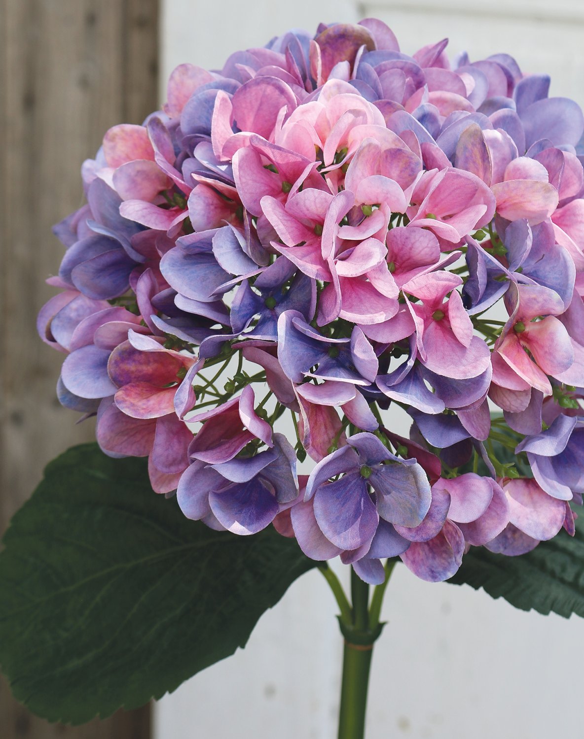 2270 222 a3 Искусственная гортензия, 65 см, темно-фиолетовый H-andreas  - Вид №4