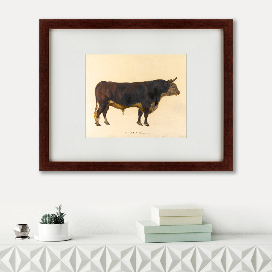 Картина: The bull, 1797 КАРТИНЫ В КВАРТИРУ  135670 Разноцветный  - Вид №1