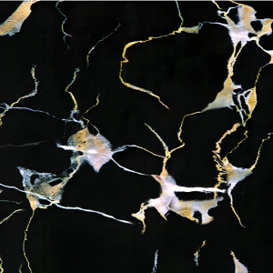 Панель PVC Stella Marble Light Фрейя М-007 2800*1160*1мм