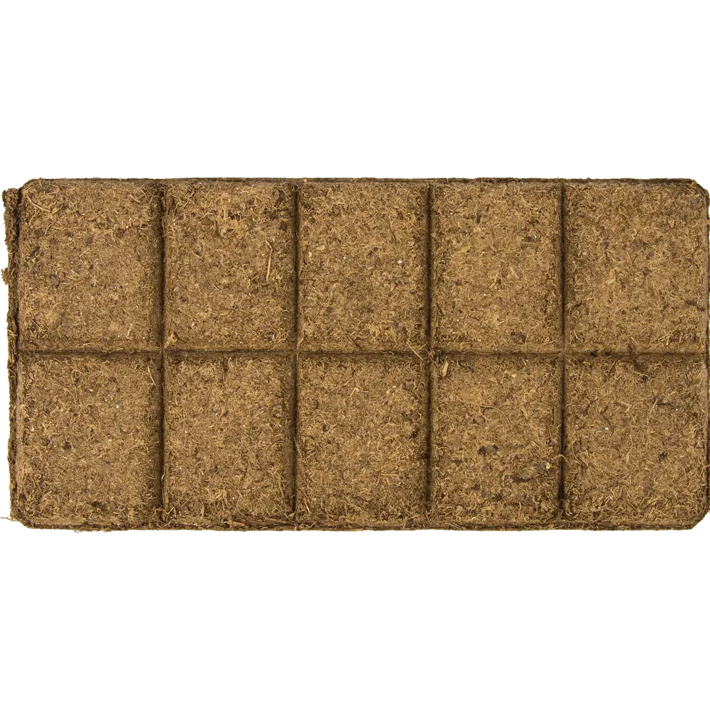 БиоМастер «Чудный лимон» — плодородный грунт для цитрусовых растений 82375676 STLM-0025744 - Вид №2