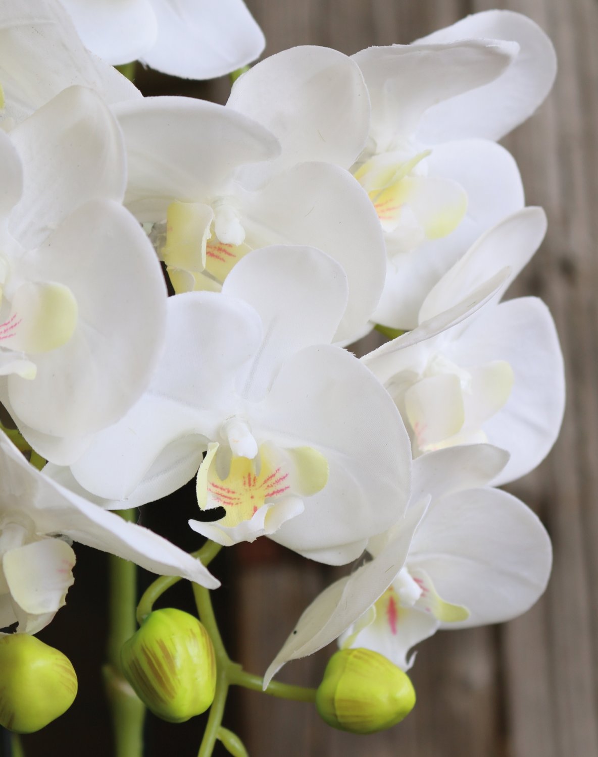 2862 777 a3 Пластиковая орхидея Phalaenopsis с 'почвой', 3-х кратная, 45 см, real touch, белая H-andreas  - Вид №4