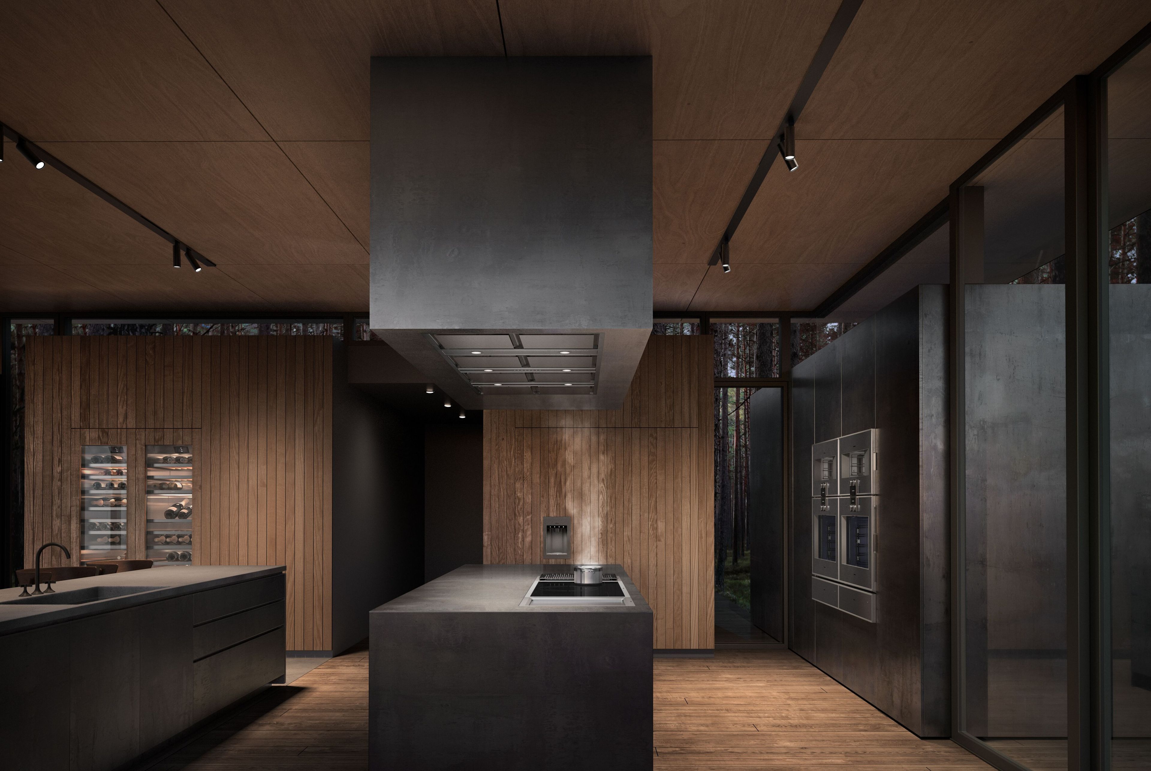 Модуль светильников для потолочной вытяжки из нержавеющей стали GAGGENAU серия 400 ARCH-00136314 - Вид №1