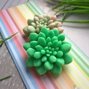 10482 Форма "Суккулент №12 S" силикон HobbyPage