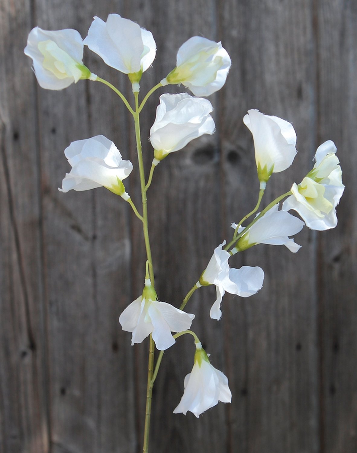 3181 005 a3 Вики искусственные, 4 штуки, 48 см, разноцветная миткалевая роза H-andreas  - Вид №9