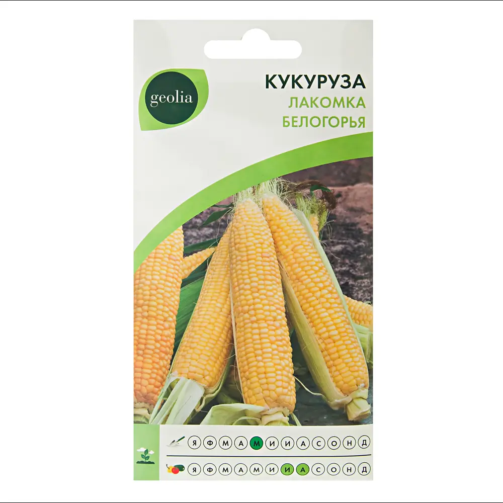 GEOLIA Лакомка Белогорья - ранняя сладкая кукуруза 17585738 STLM-0008403
