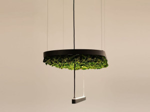 Акустическая подвесная панель в стабилизированных растениях