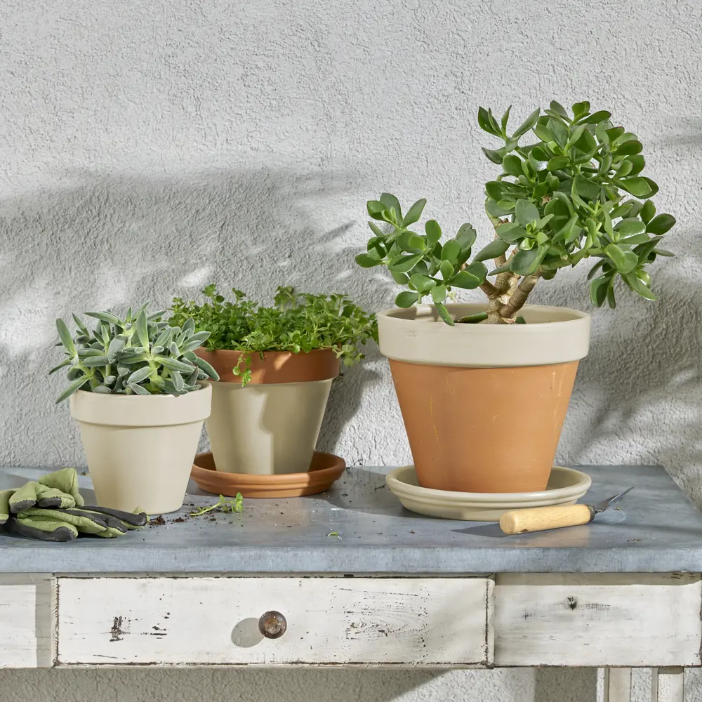 Аэрозольная эмаль Luxens перламутрово-белая для интерьера и экстерьера 83237444 STLM-0039787 - Вид №5