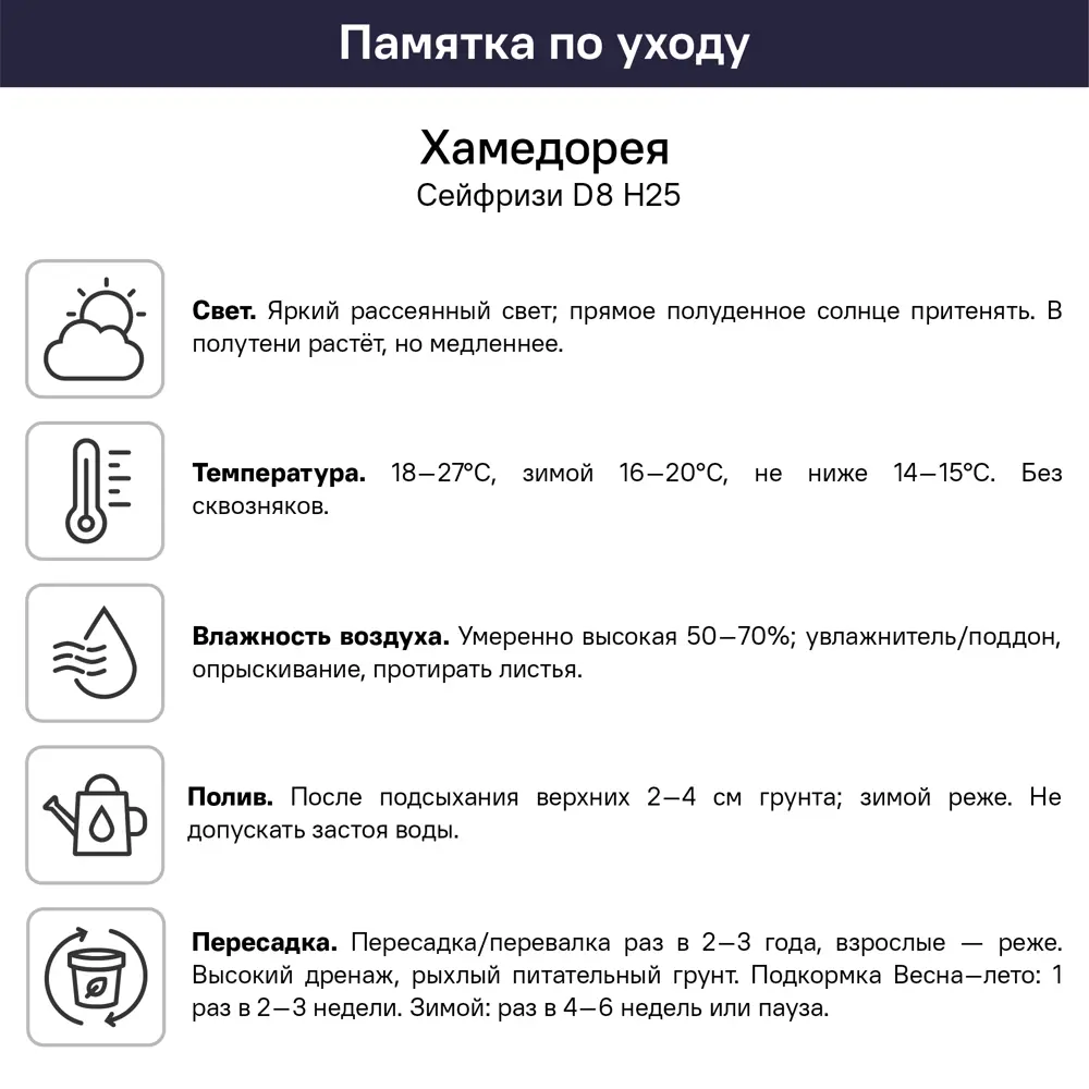 Хамедорея Сейфризи ø8 h25 см 89447728 STLM-2145308 Santreyd  - Вид №5
