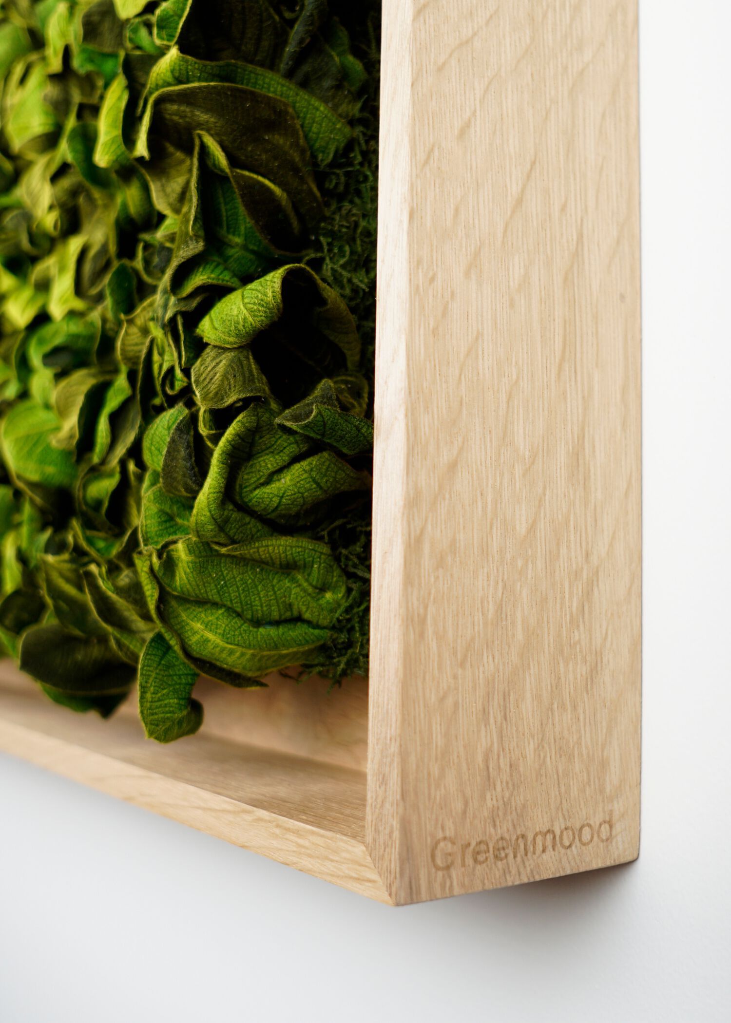 Акустическая панель из мха GREENMOOD FRAMED TEXTURED ARCH-00008674 - Вид №1