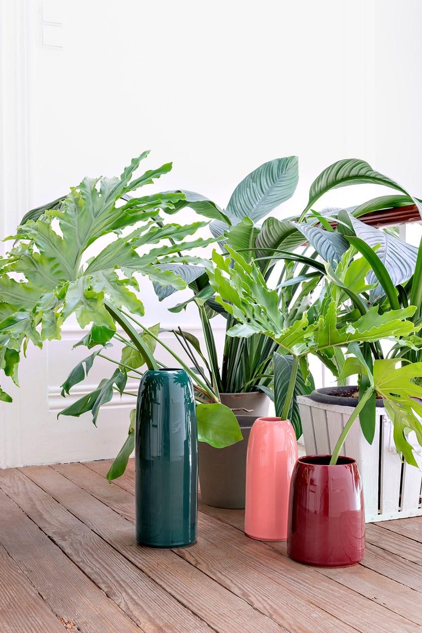 Schönbuch Терракотовая ваза Schonbuch sun-id-1387028 - Вид №11