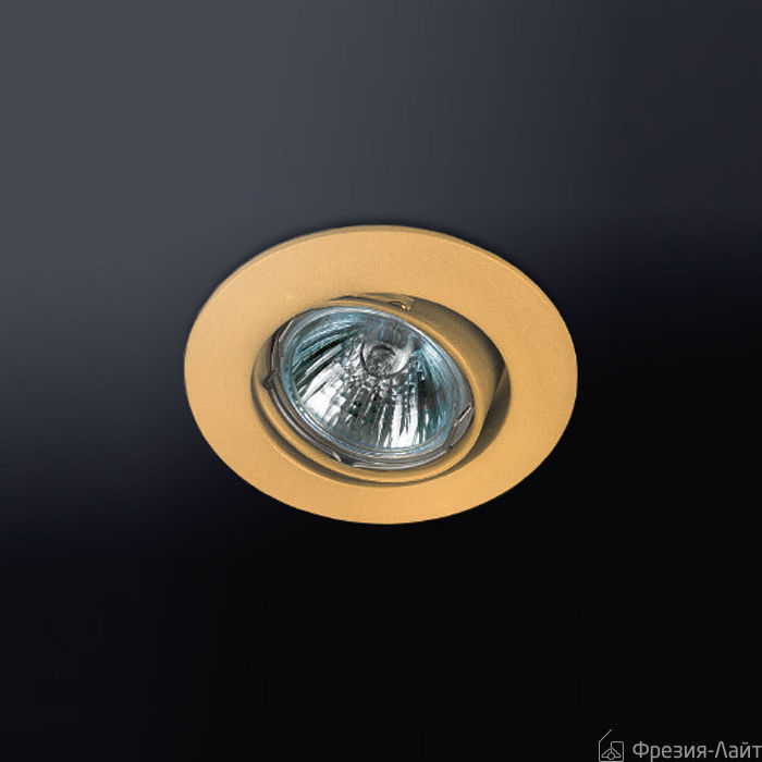 Oscaluz 0156-00-00-Y встраиваемый потолочный 63355