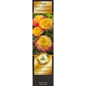 Роза Кордес чайно-гибридная Кордес Джубили 82527392 STLM-2005371