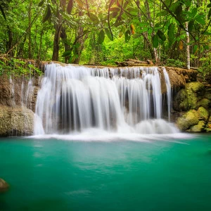 C1-017 Фотообои DIVINO Collection C 2.38х3 м