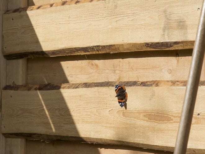 Франживист из лиственницы Pircher COUNTRY ARCH-00068366 - Вид №1