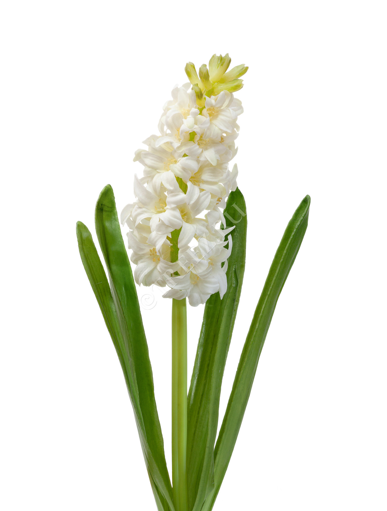30.03070001/3 Гиацинт белый 38 см Цветочная коллекция 