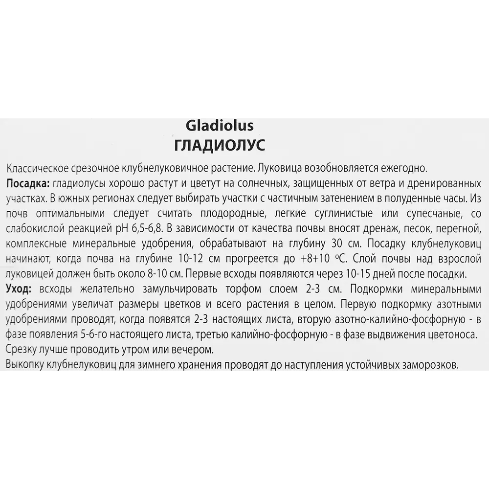 Гладиолус крупноцветковый Алфалфа, 3 шт. 89351779 STLM-2120246 ПОИСК  - Вид №2