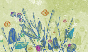 Обои с цветочными мотивами