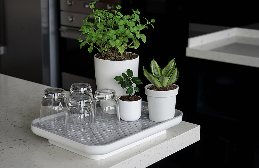 Лоток для полива растений Oasis Tray белый Qualy QL10309WHGN - Вид №1