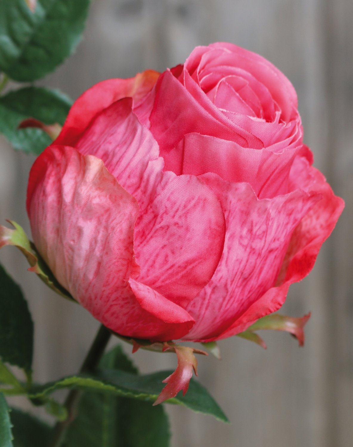 2628 515 a3 Искусственная роза, 1 цветок, 1 бутон, 80 см, розовая H-andreas  - Вид №3