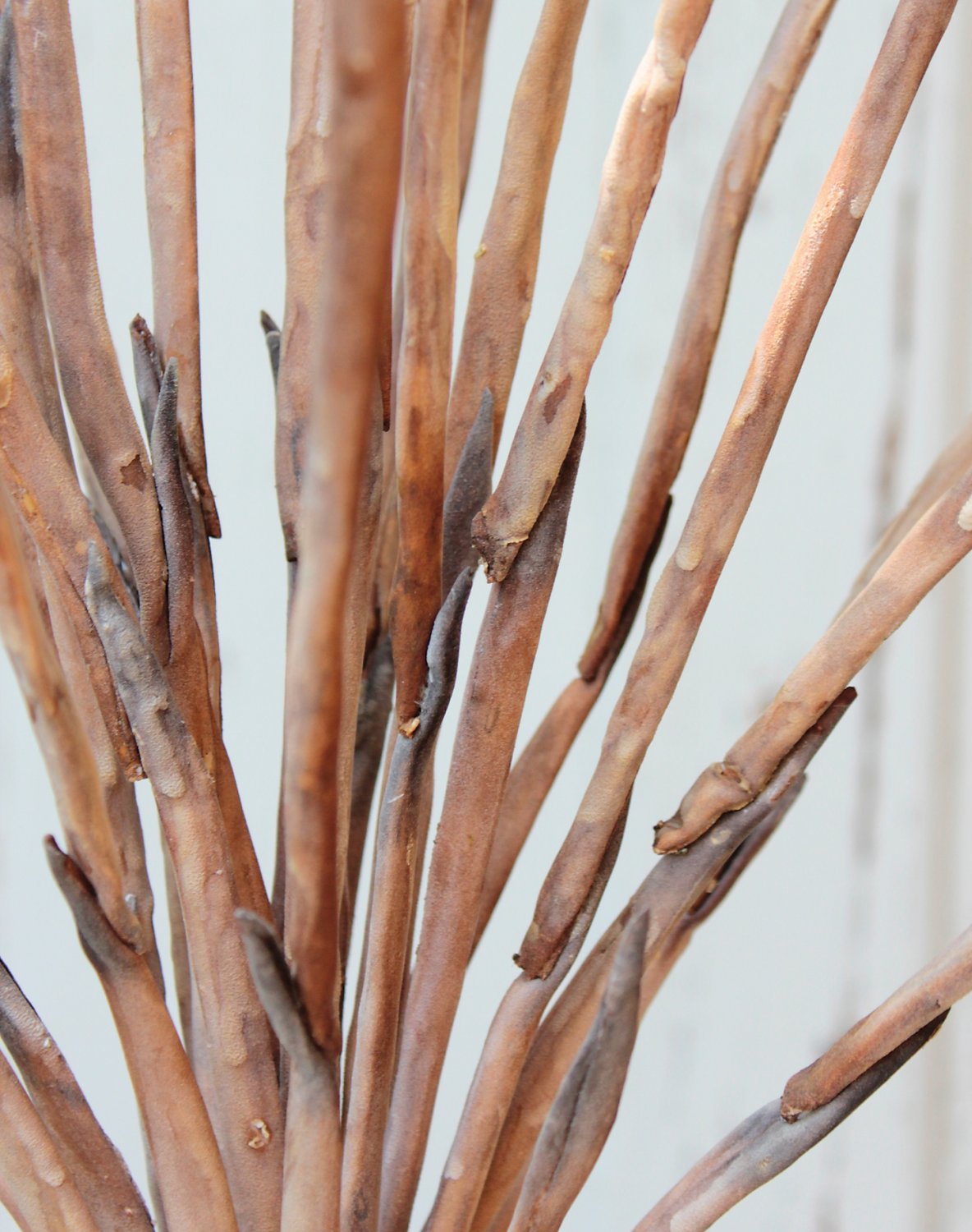 7892 616 a3 Шелковый мягкий цветок 'Ветка травы', 120 см, натуральный H-andreas  - Вид №2