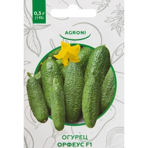 Семена Огурец «Орфеус» F1 XS 82457693 STLM-2108187