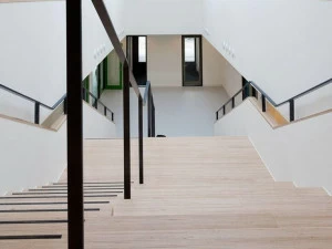 Plexwood Покрытие для деревянной лестницы