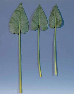 5155 883 a2 Искусственный лист зантедескии, 84 см, зеленый H-andreas