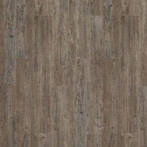 Виниловый ламинат Moduleo Transform Latin Pine 24868 Сосна (Гладкая) 1320х196 мм.