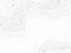 Equipo DRT Обивочная ткань из полиэстера Bukhara 21616