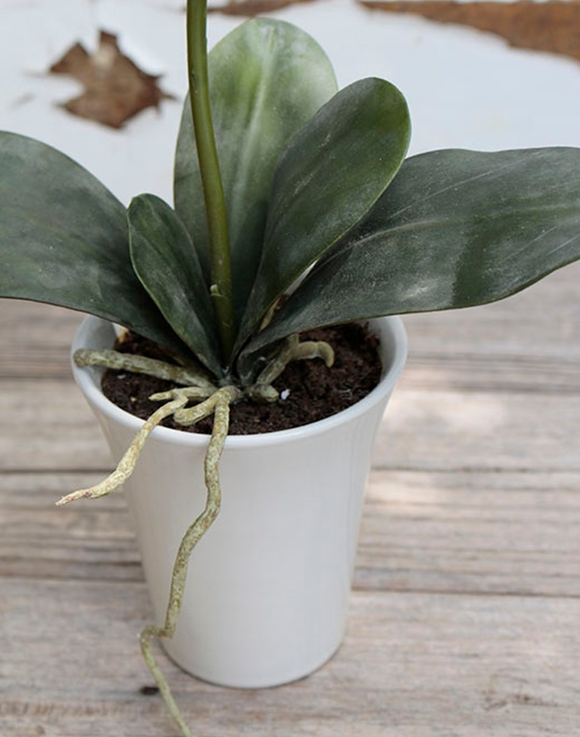 2528 420 a3 Искусственная орхидея Phalaenopsis, горшечная, 40 см, вишня H-andreas  - Вид №2