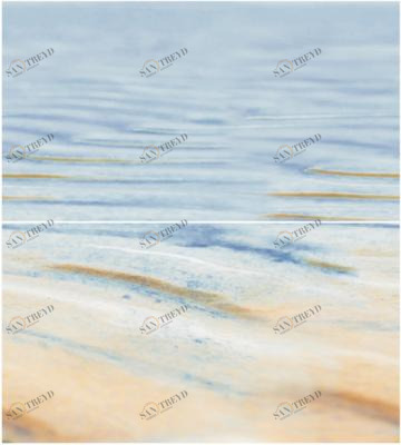 Decor Starfish 2 Panno 45x50 Ceradim sun-id-311957