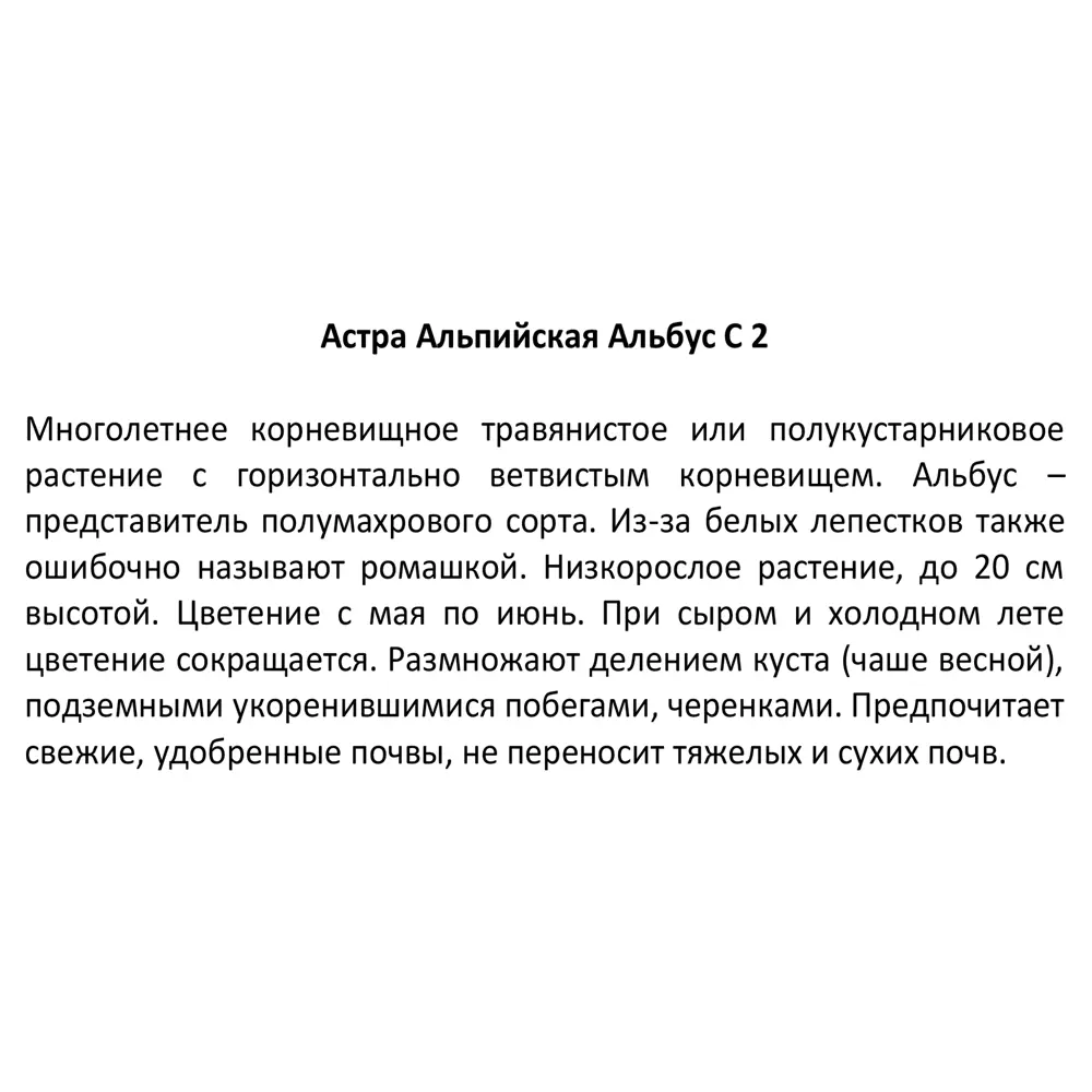 Santreyd Астра альпийская микс - многолетний цветущий саженец для сада 85324919 STLM-0955094 - Вид №2