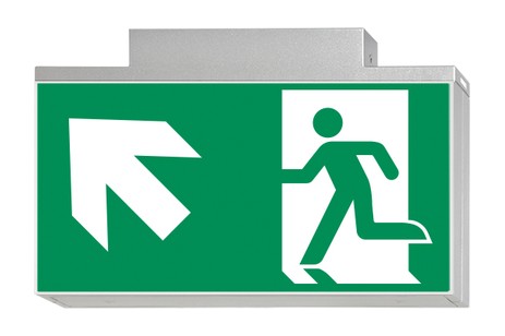 DST-2848 Lisu ceiling-mounted Daisalux Светильники сигнальные Серебристо-Серый 