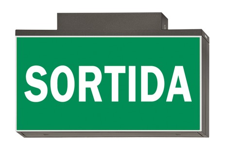 DST-2809 Lisu ceiling-mounted Daisalux Светильники сигнальные Металлический Серый 