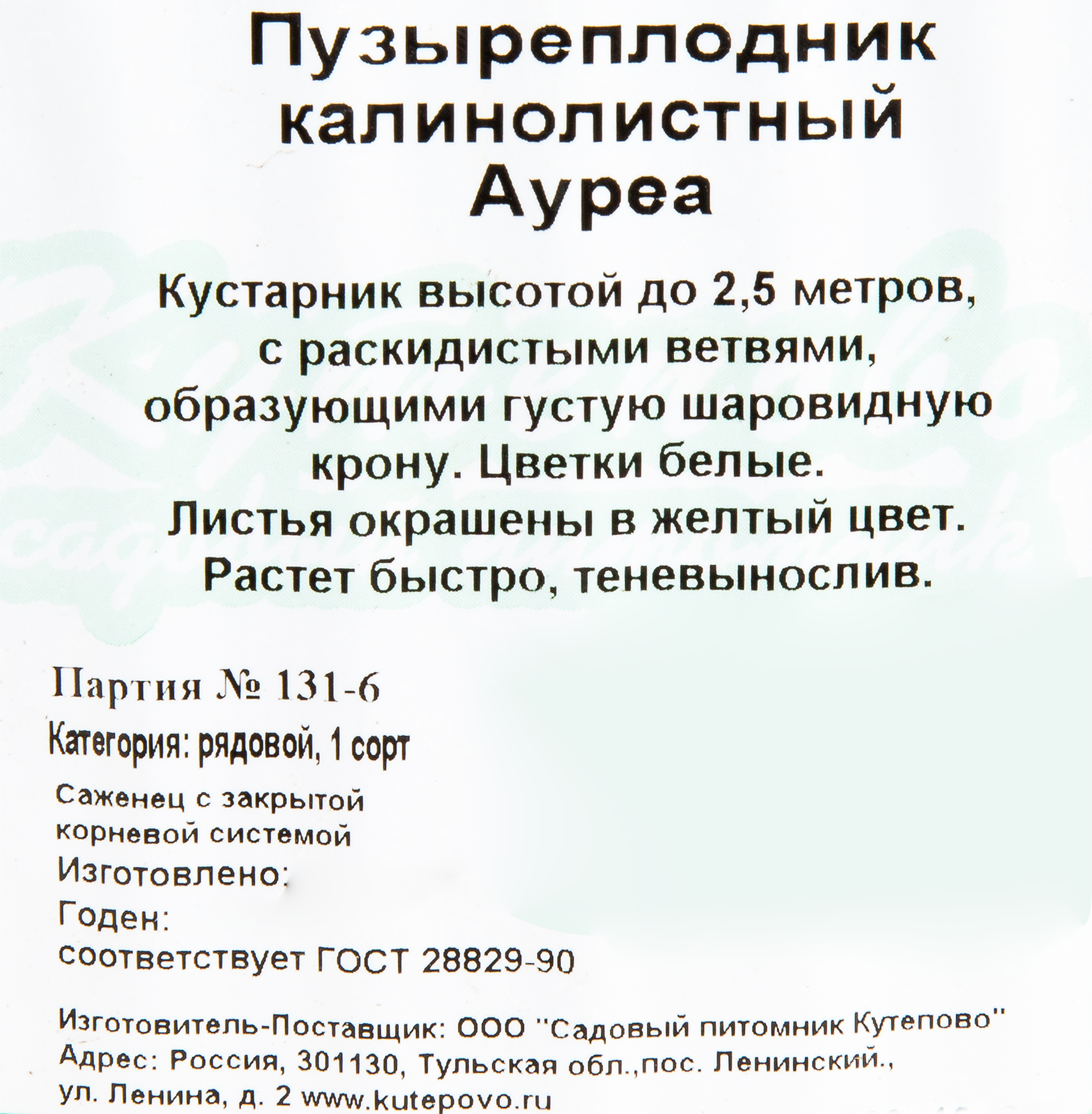 Пузыреплодник Ауреа Santreyd - золотистый кустарник для сада 18321048 STLM-0010258 - Вид №1