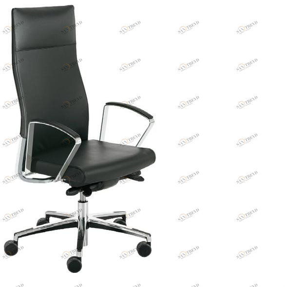 Sesta Стул для руководителя с высокой спинкой Win Ws-002-01