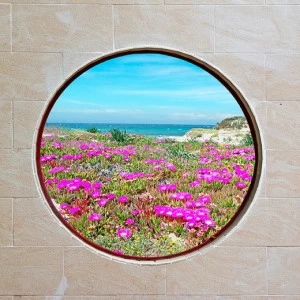 D2-087 Фотообои DIVINO Collection D 2.7х3 м