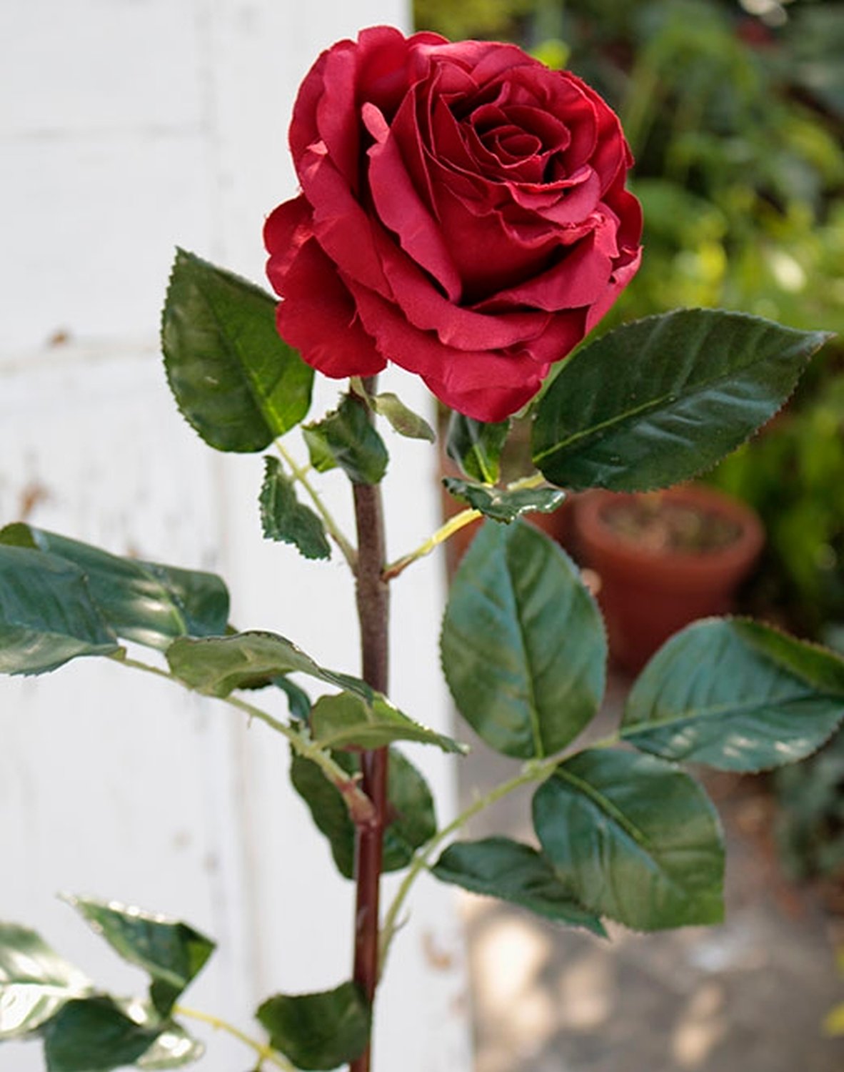 2313 444 a2 Пластиковая роза 'Curiosa', 77 см, красная H-andreas 