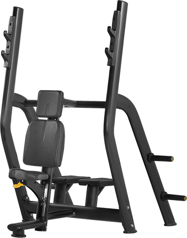 H-025B Bronze gym h-025b скамья для жима вертикальная Bronze Gym 
