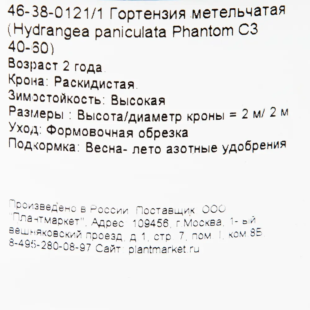 Гортензия метельчатая «Фантом» C3 40-60 см PLANTMARKET STLM-2021969 - Вид №1