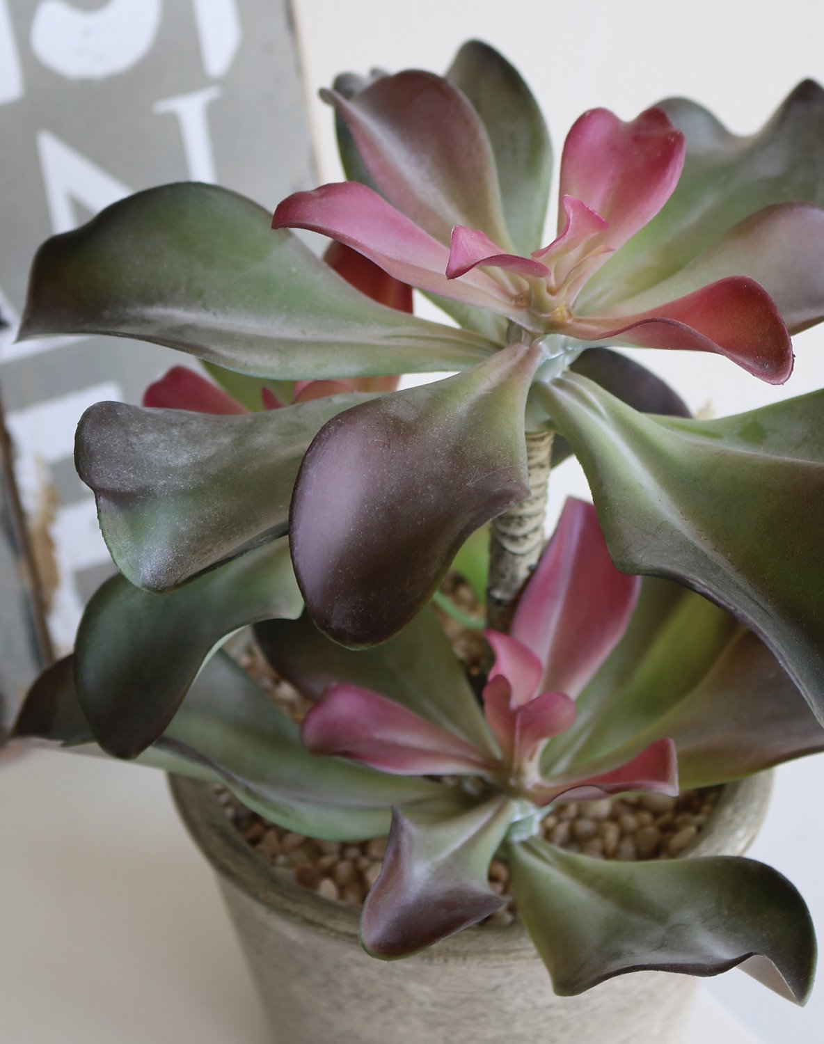 6046 849 a3 Искусственный суккулент, горшок, 25 см, зелено-бордовый H-andreas  - Вид №1