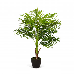 2000983170163 Арека Бетель высота 120 см COSMO RED