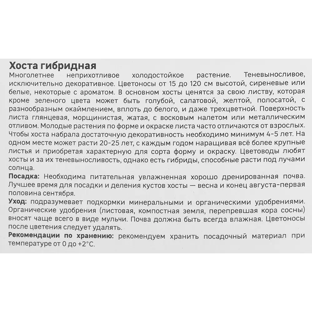Хоста гибридная Фрейгрант Букет 86408594 STLM-2212405 Santreyd  - Вид №3