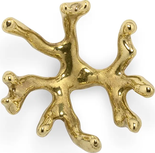 OC2006 Codium PULLCAST Ocean Collection  - Вид №3