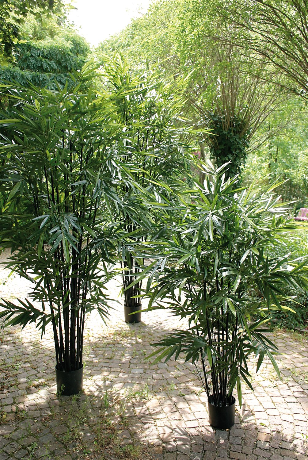 5695 883 a3 Бамбук искусственный, в горшке, 280 см, зеленый H-andreas  - Вид №3