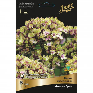 83600079 Флокс метельчатый Мистик Грин луковица I