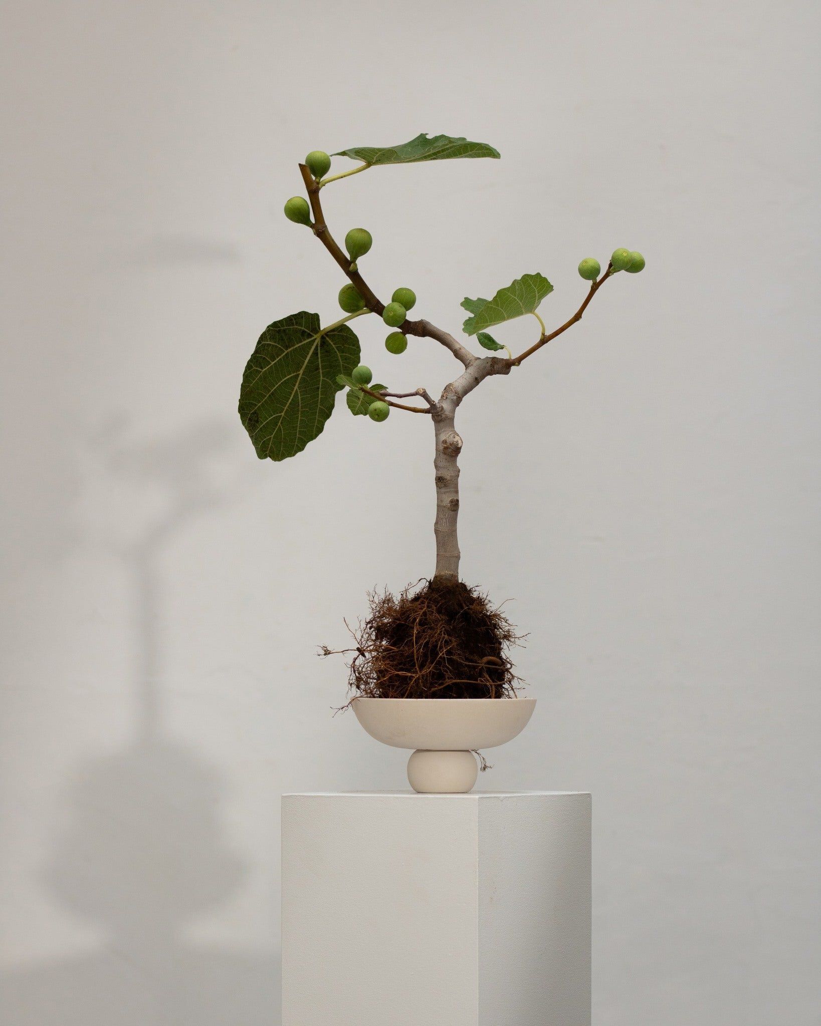 Керамическая чаша 101 Copenhagen Baburu ARCH-00105579 - Вид №22