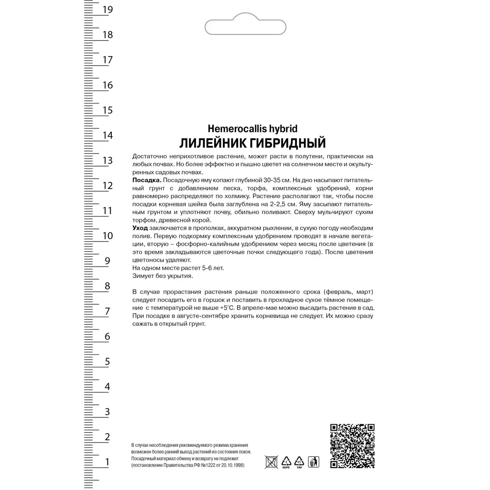 Лилейник гибридный «Чиз энд Вайн» 82530547 STLM-2118275 Santreyd  - Вид №1