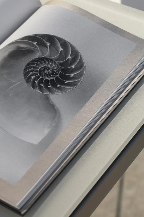 MNST1178 Обеденный стол pcsts lava 90см x 90см Manutti Trento - Вид №8