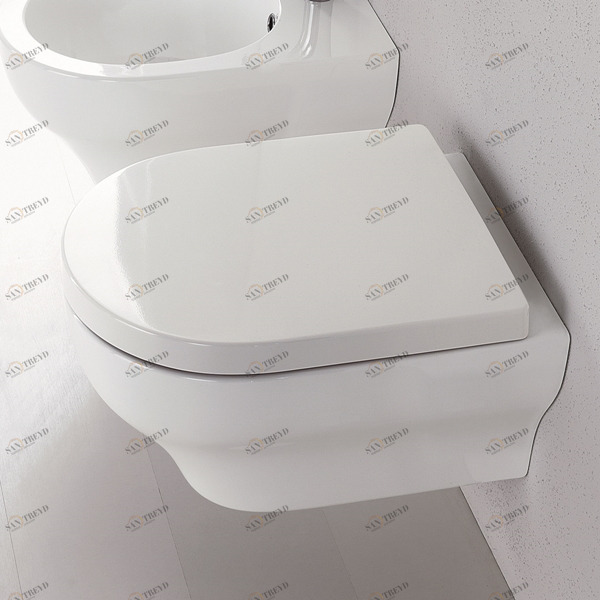 15CL Подвесной унитаз настенный Белый Olympia Ceramica CLEAR Италия